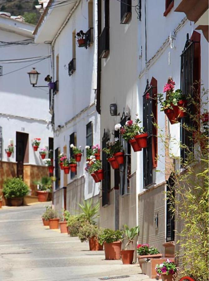 Mirasierrahome... Tu Hogar De Vacaciones! Alora Dış mekan fotoğraf